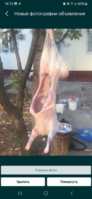 Choyxona va restoran kafelar uchun qoy goshti