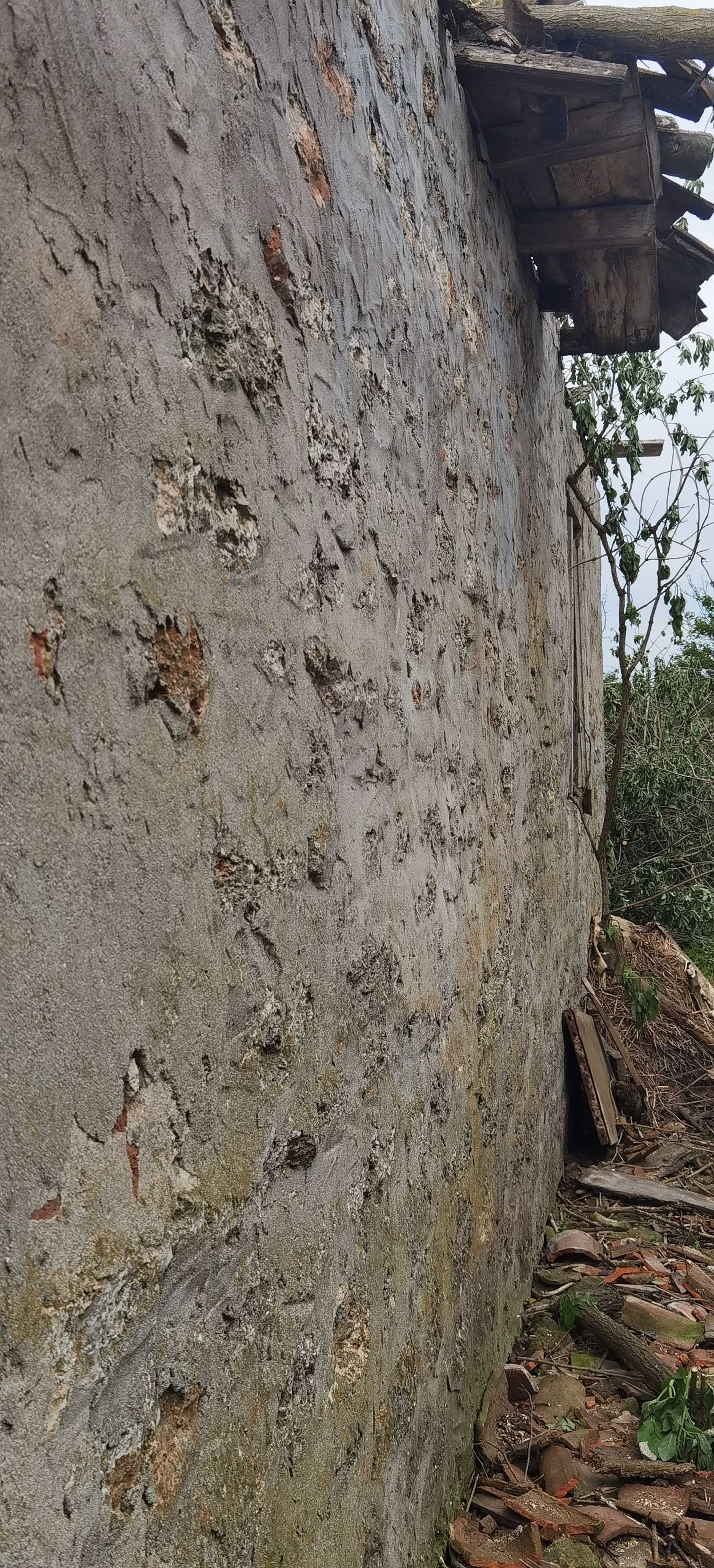 Парцел с къща в регулация в село Могилище 2718кв.м