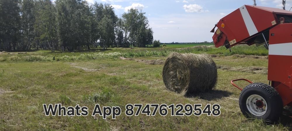 Продам сено рулоны