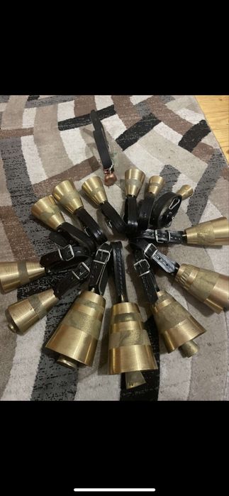 Чанове (Звънци)