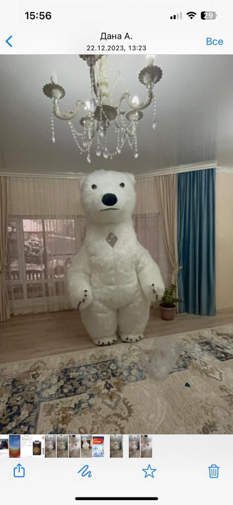 Мишка Каскелен поздравление
