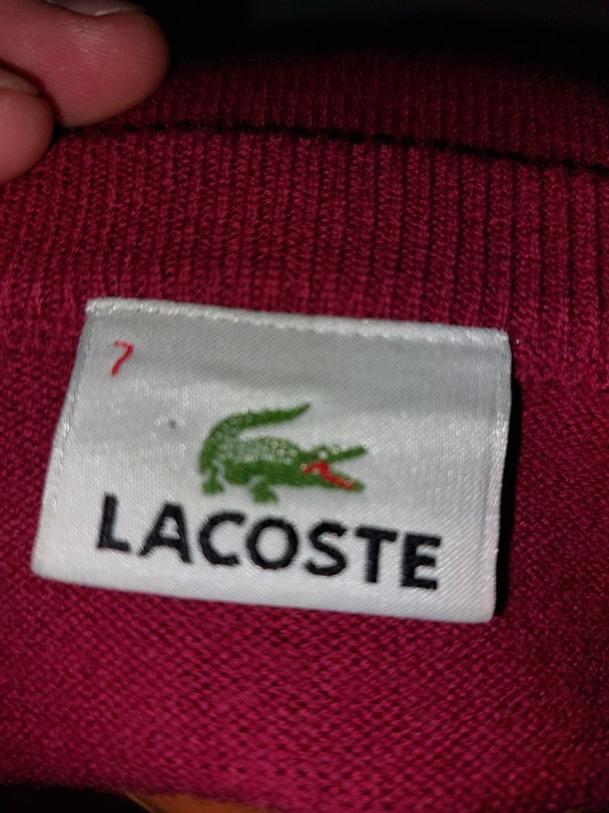 Pulover Lacoste original