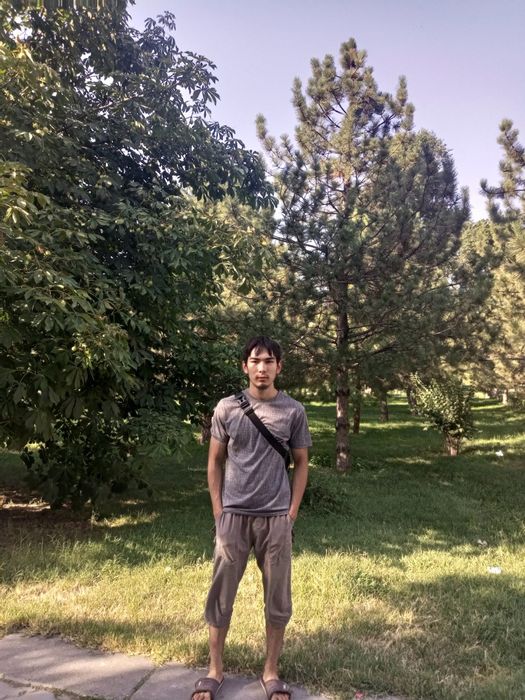 Человек компаньон.