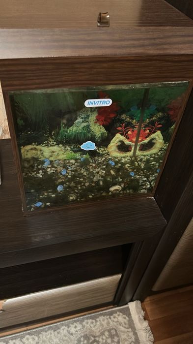 Продам два аквариумы для рыбок