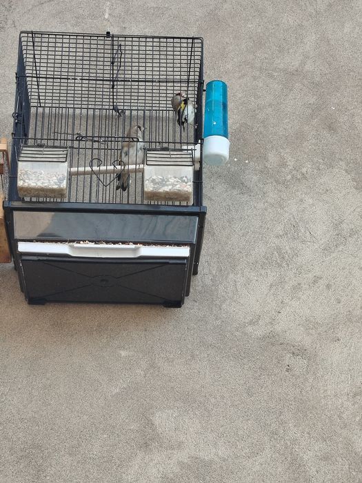 Sava sotiladi 2tasi ini bn