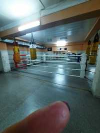 Боксерский ринг (олимпийский), размер 5х5 м;