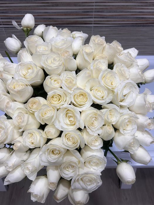 Продам розы белые