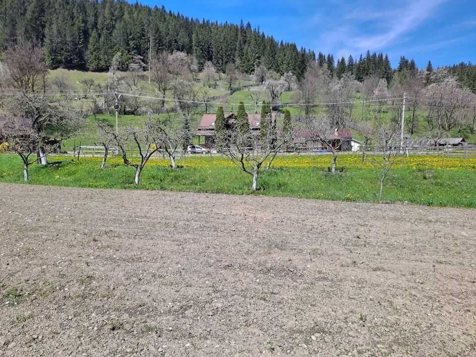 Vand teren intravilan com. Poiana Teiului, sat Poiana Largului, Neamt