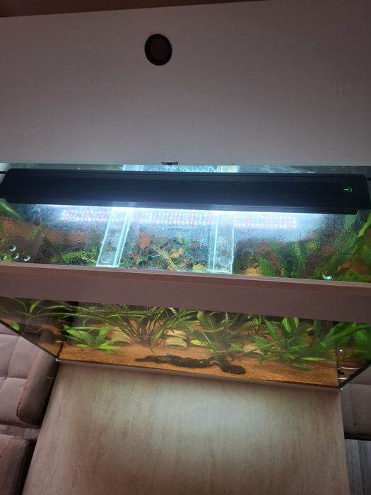 Аквариум СПЕШНО !!!