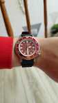 Citizen Eco-Drive Promaster