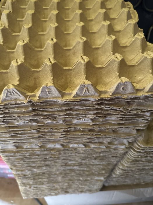 Лотки из под яиц