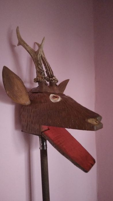 Vând capră tradițională