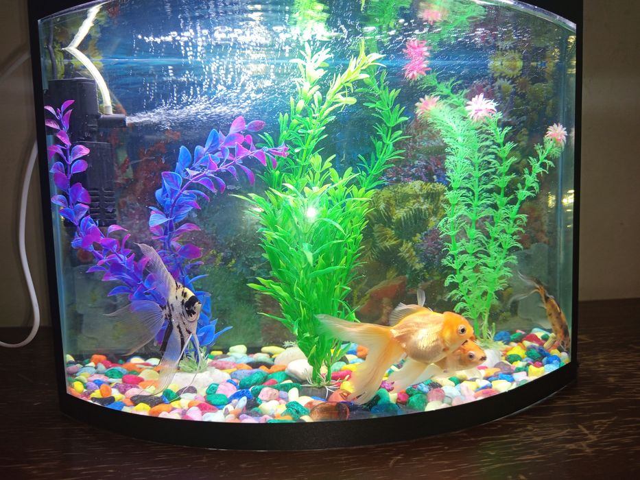 Аквариум 40 литр