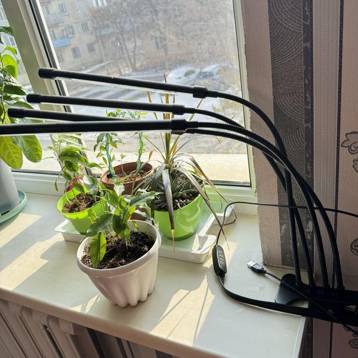 Фитолампа светодиодная