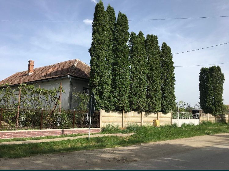 Casa de vânzare cu curte