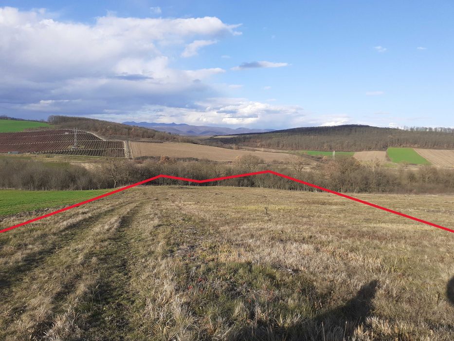 Teren 310x67m Martinești între Simeria (15km) și Orăștie (10km) Deva23
