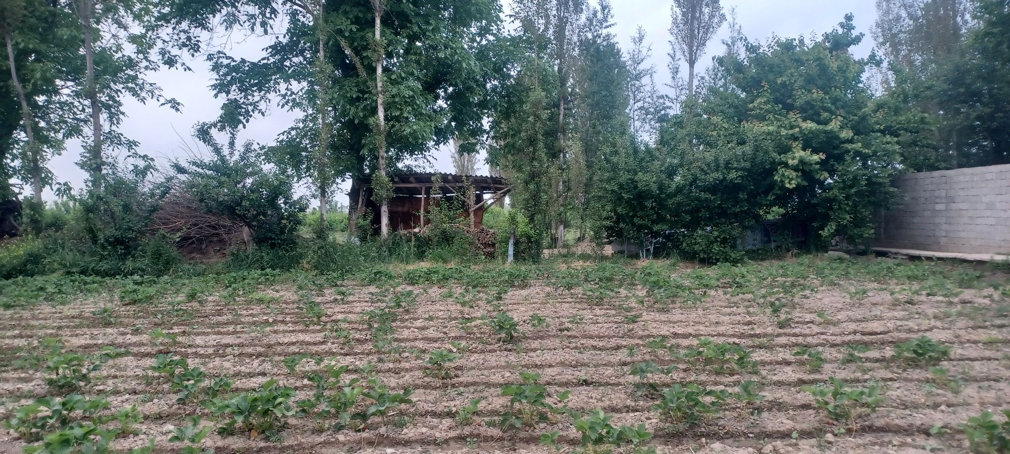Уй жой ховли сотилади