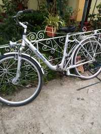 Bicicleta ALU BIKE