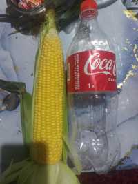 Свежая кукуруза в любом количестве