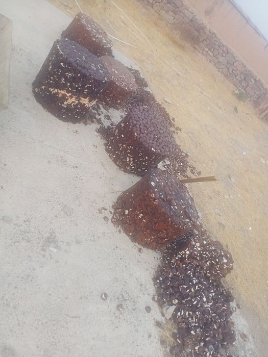 Qoldiq shkalat pichenilar mollarga