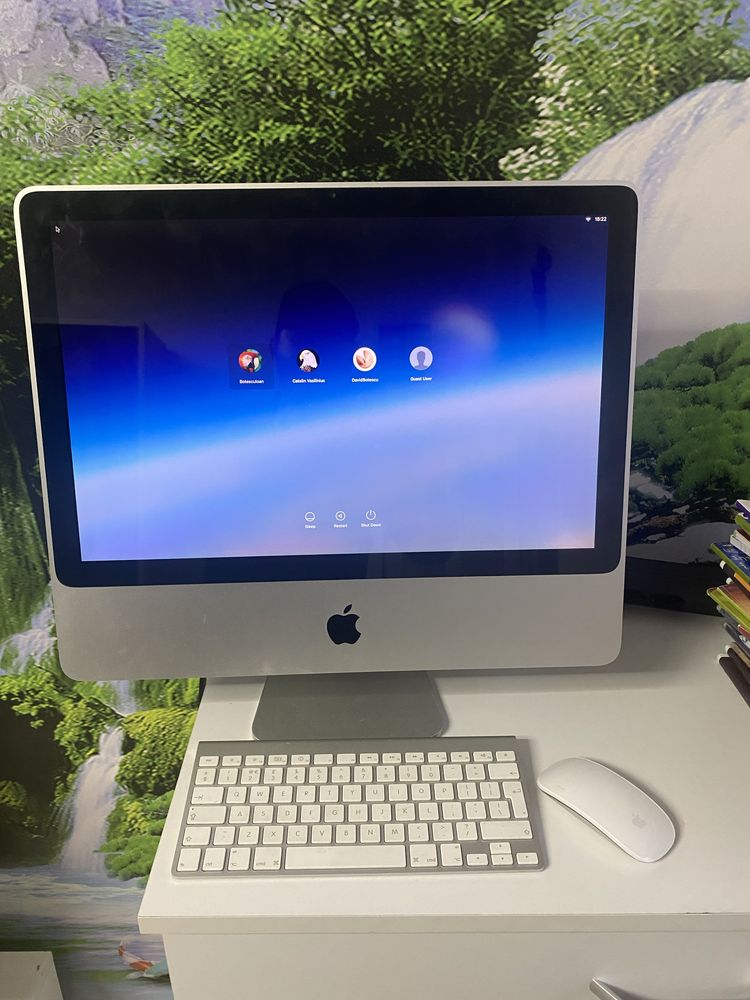 IMac model A1224