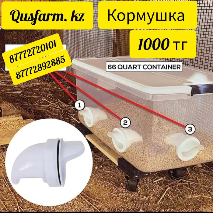 Кормушка для кур несушек бройлер птицы врезка