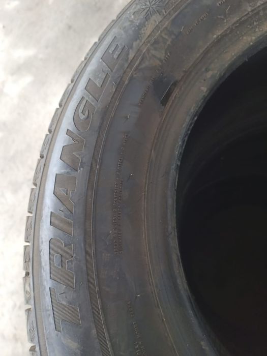 Зимние шины triangle