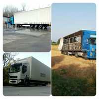 SERVICII Transport marfa/ TIR Camion cu Lift cherestea Sumal
