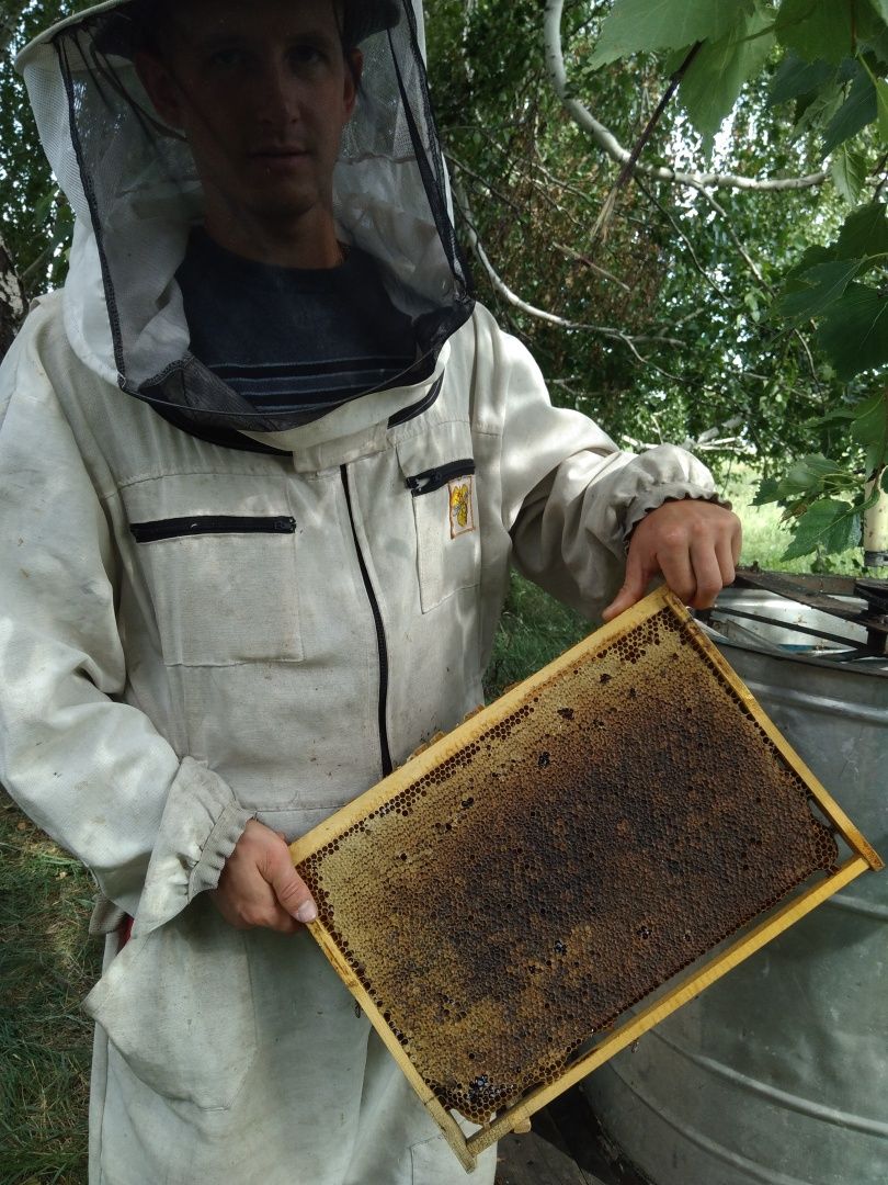 Мёд.  Урожай 2023 года
