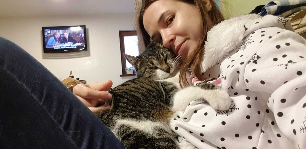 Pet sitter căței și pisici / Plimbat cățel