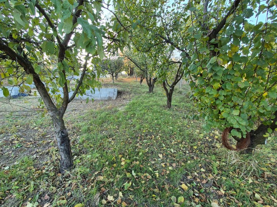 Proprietar,vand vila in Hlincea,170 mp,1500 mp teren,aer curat,liniste