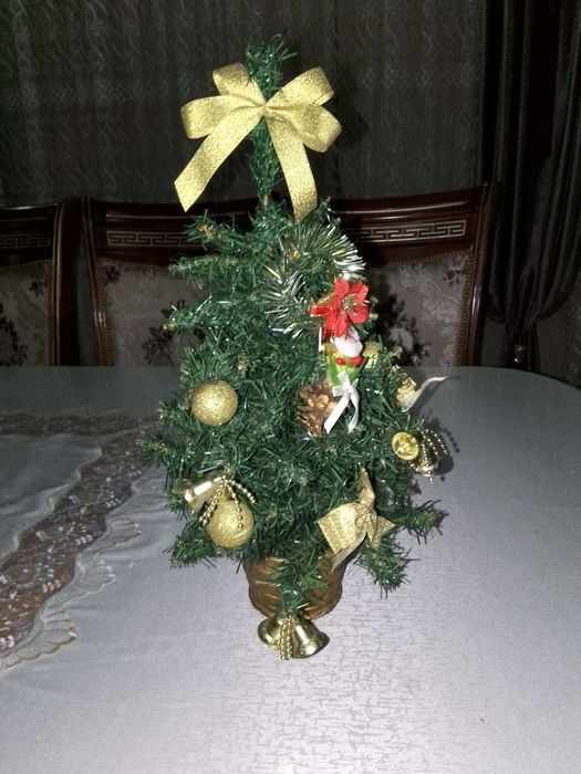 Чиройли ва тайер холда арча сотилади