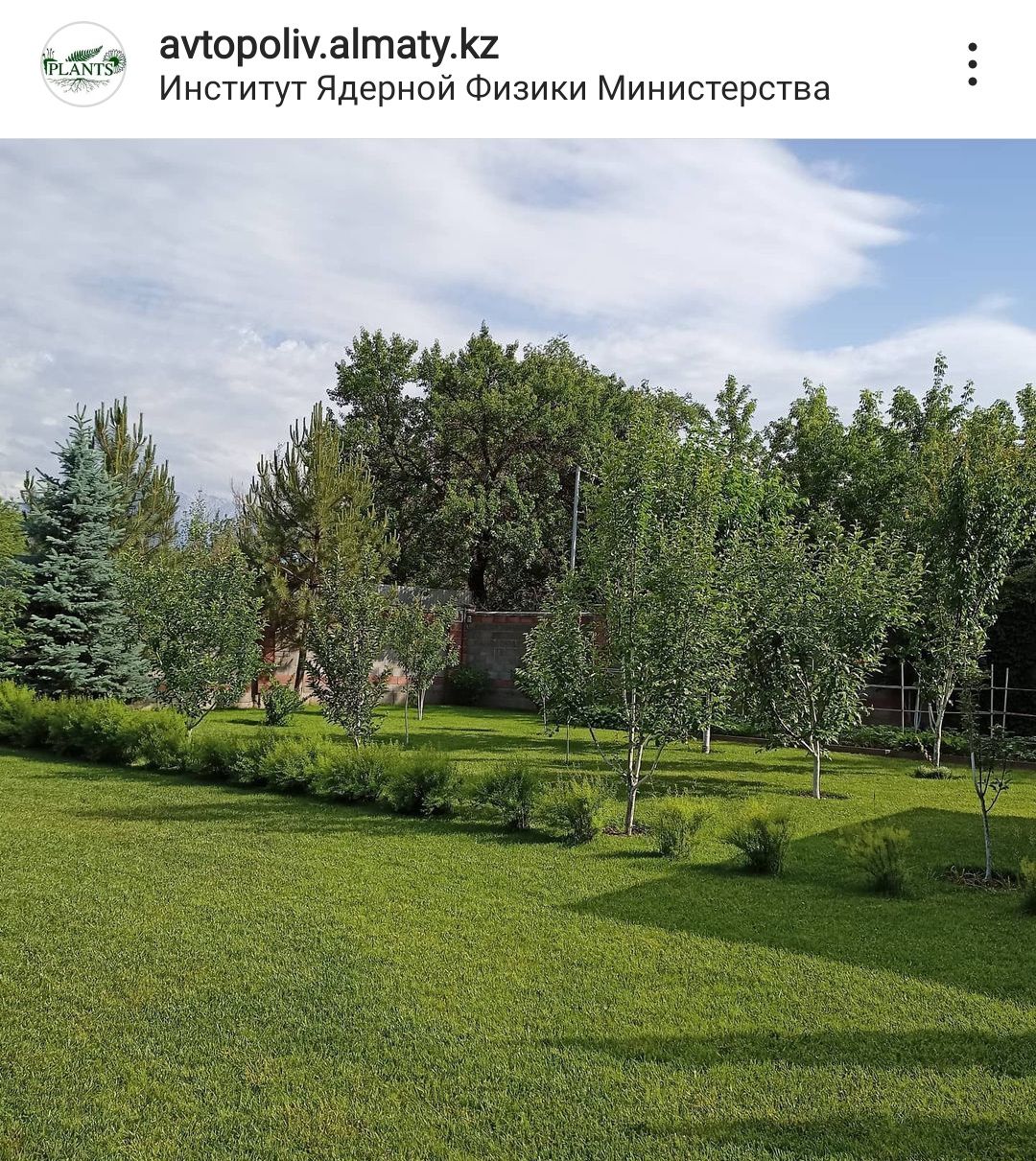 Автополив газона