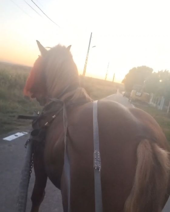 2200euro negociabil  Roman judetul Neamț