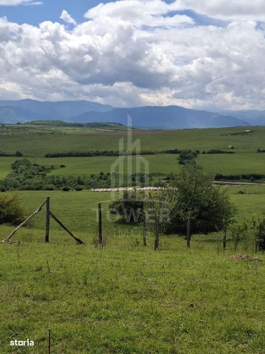 De vanzare, teren 11.500 mp – Dealul Dăii,  Vedere panoramică spre mun
