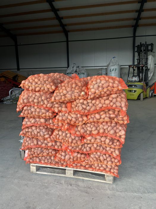 Cartofi samanta clasa B