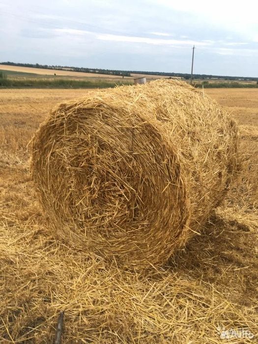 Продам солому хорошего качества
