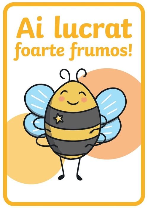 Planșe didactice