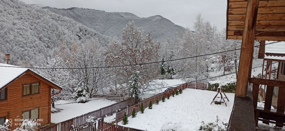 Cabana Revelion de inchiriat