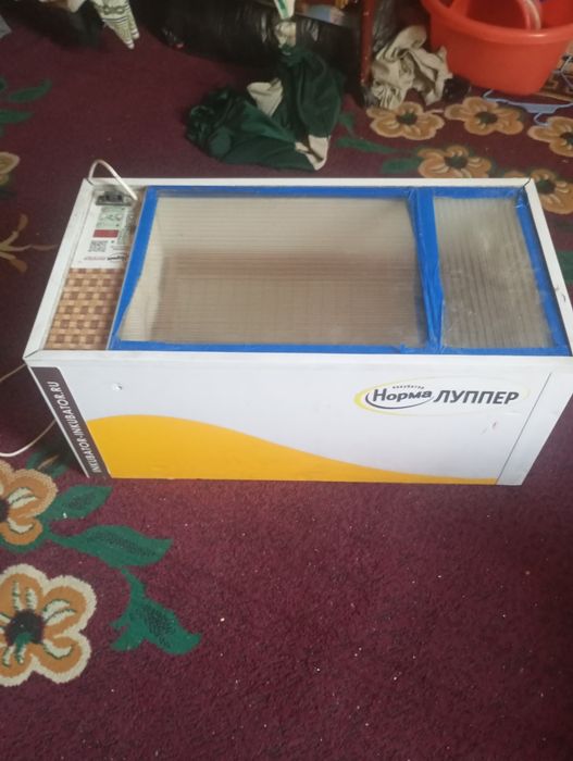 Inkubator norma lupper