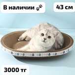 Лежанки для кошек и собак