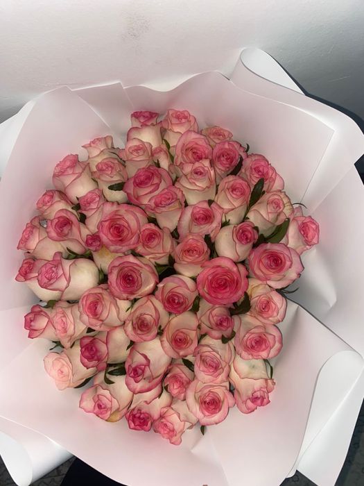 розовые розы свежие 51 шт