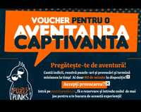 Voucher 550 Ron Escape Room Puzzle Punks Brasov