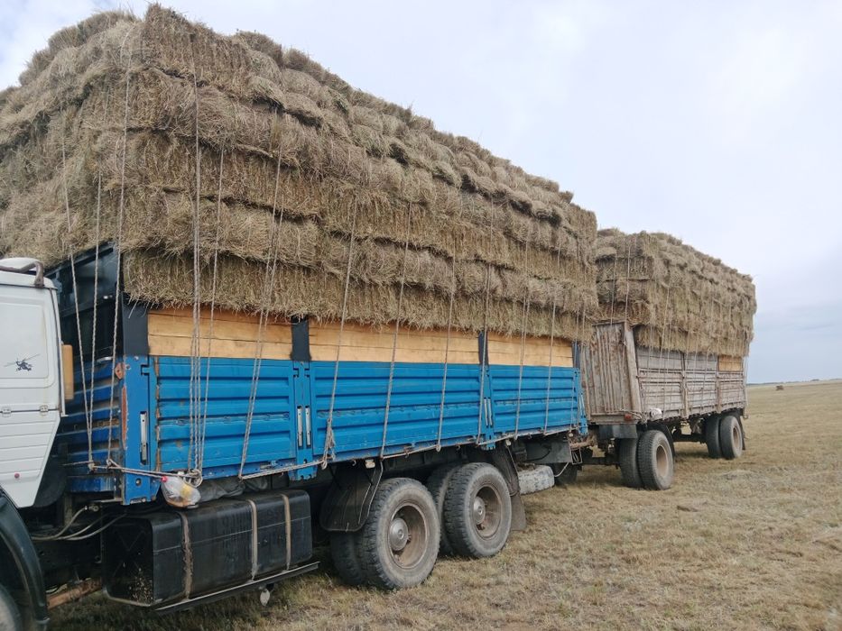 Продам сено в тюках