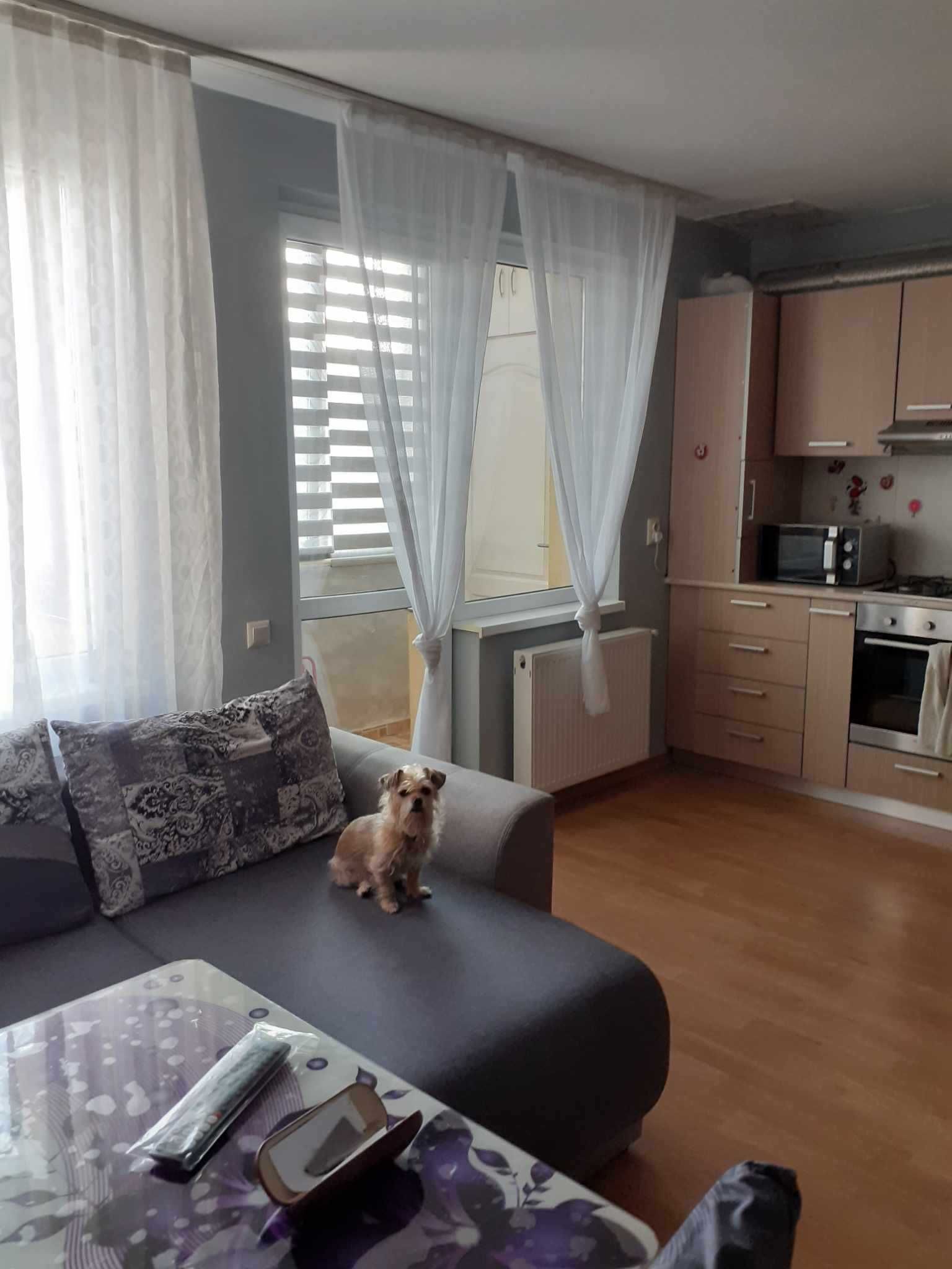 PF dau apartament 2 camere cu parcare pe Sesului de sus in chirie