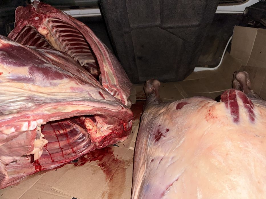 Домашние мясо соғым