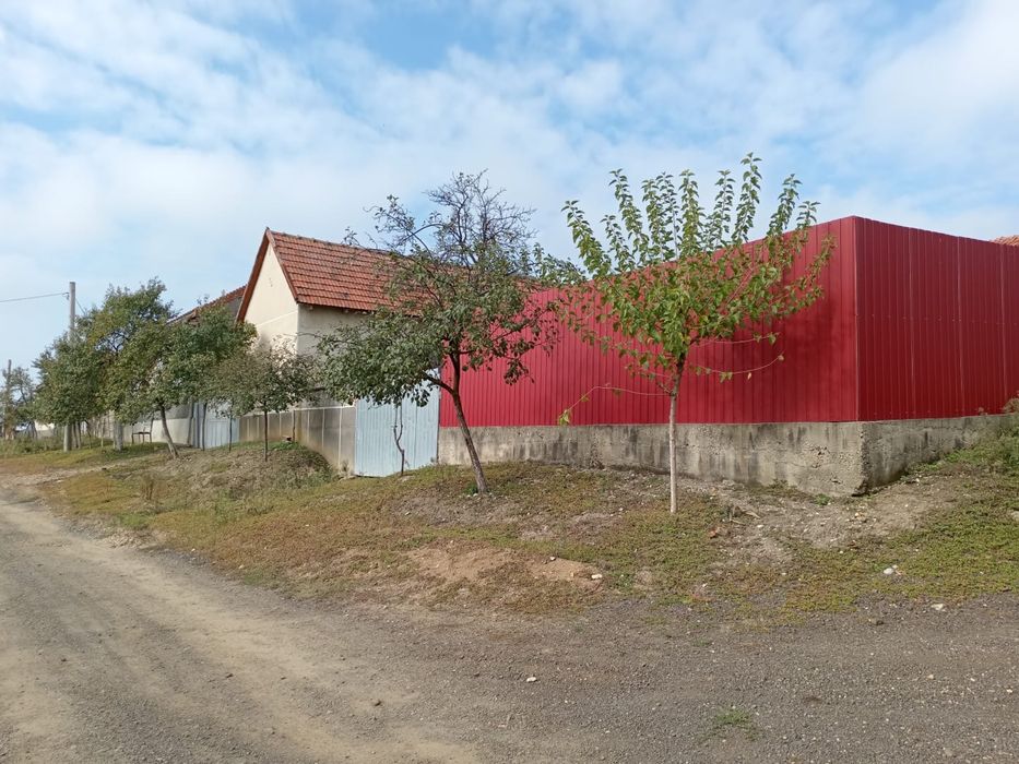 Casa de vanzare CUTINA