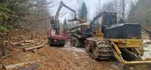 Vand forwarder TigerCat 1075C