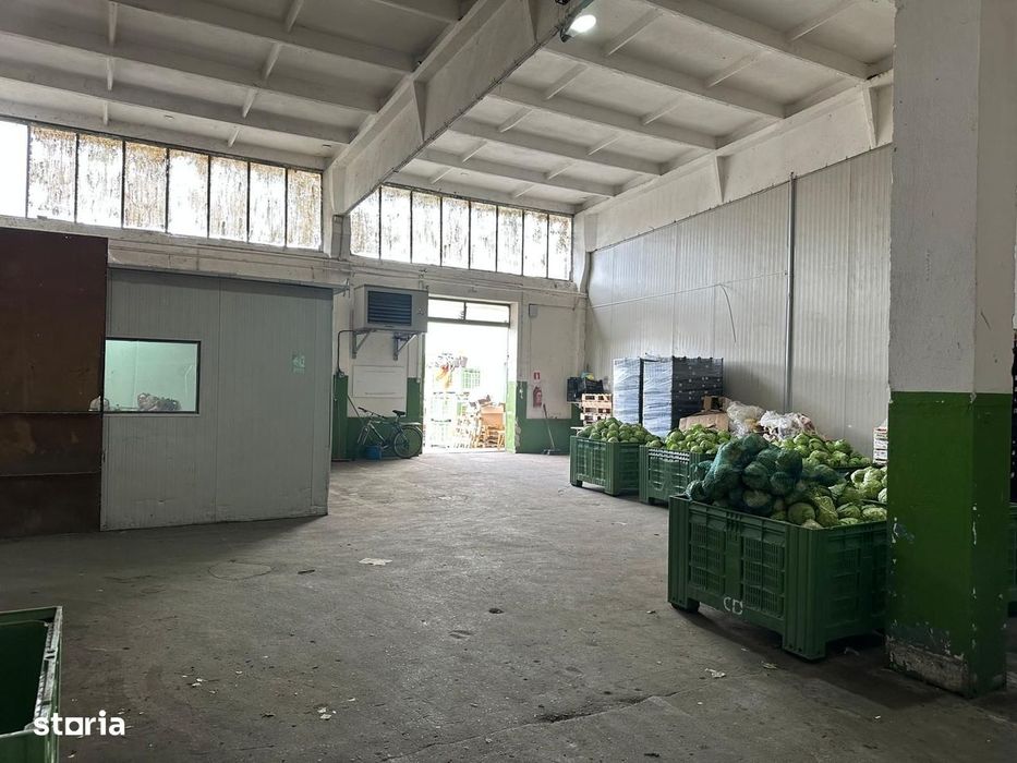 Hala de inchiriat Grădiște/Sere, Arad-761 mp