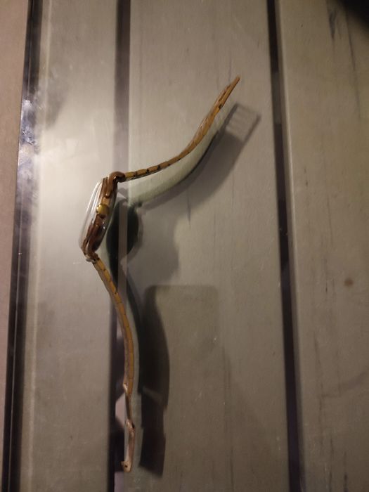 Ceas Breitlinf Crono Back1190